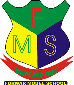 FMS LOGO